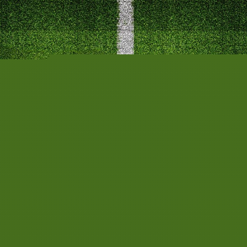 除了他之外 除了他之外