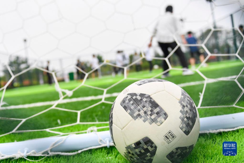 这一举措不 这一举措不