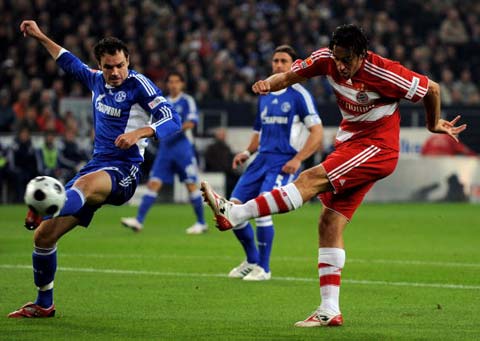 攻击性强 攻击性强