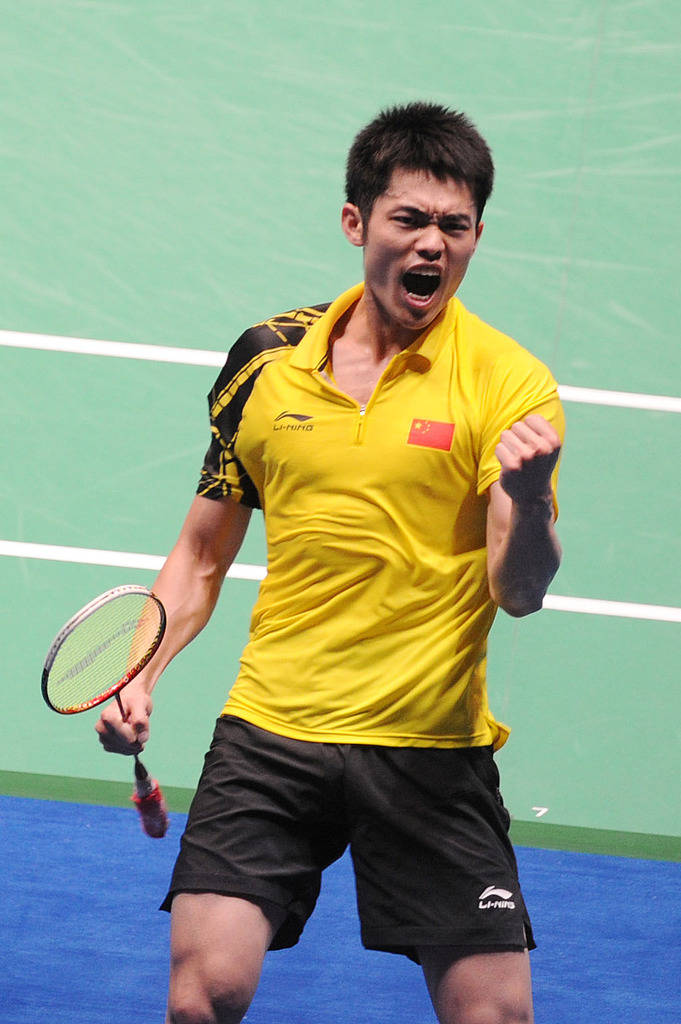 可以看出 可以看出